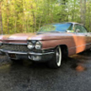 Meet your Posher, Dale